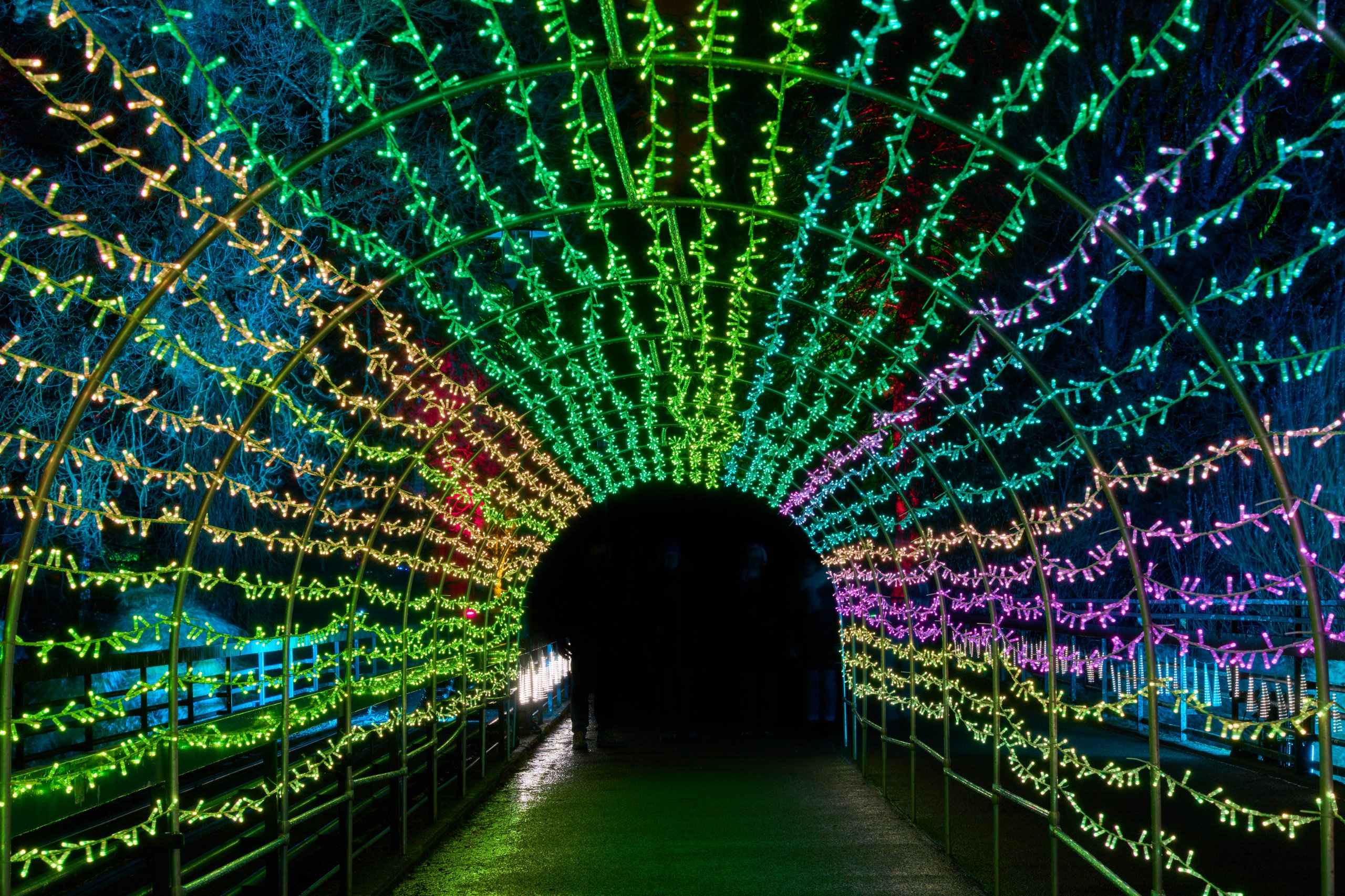 2026 02 03 Parkleuchten 0218